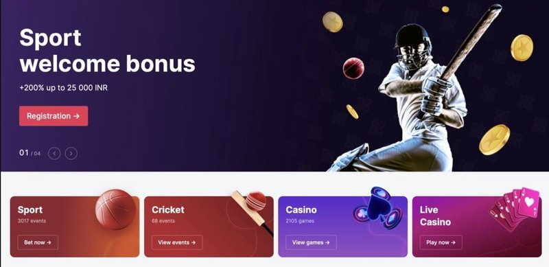 Overview of donbet login